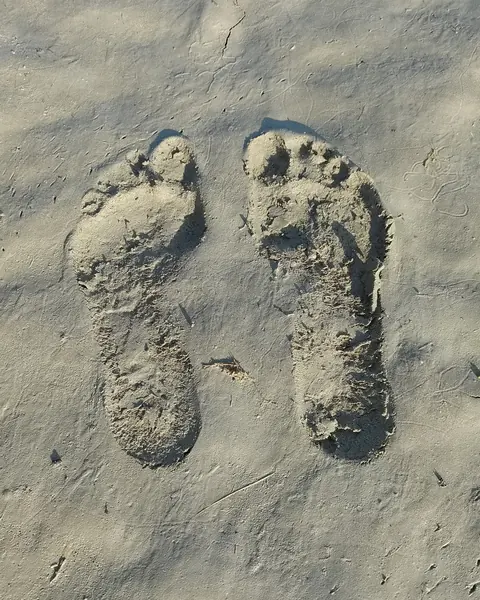 Deux empreintes de pieds nus dans la tangue, le sable gris de la baie